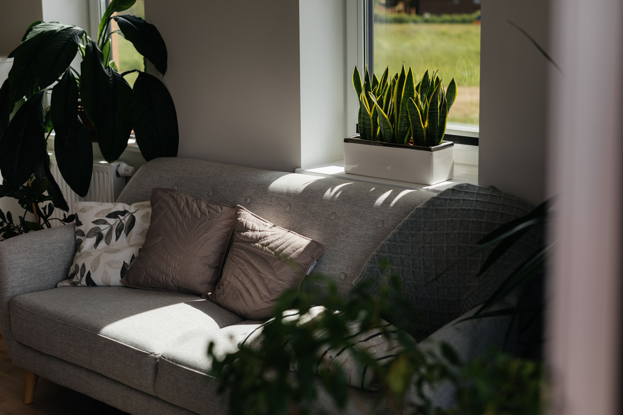 Pavasaris un telpaugi: kas būtu jādara?