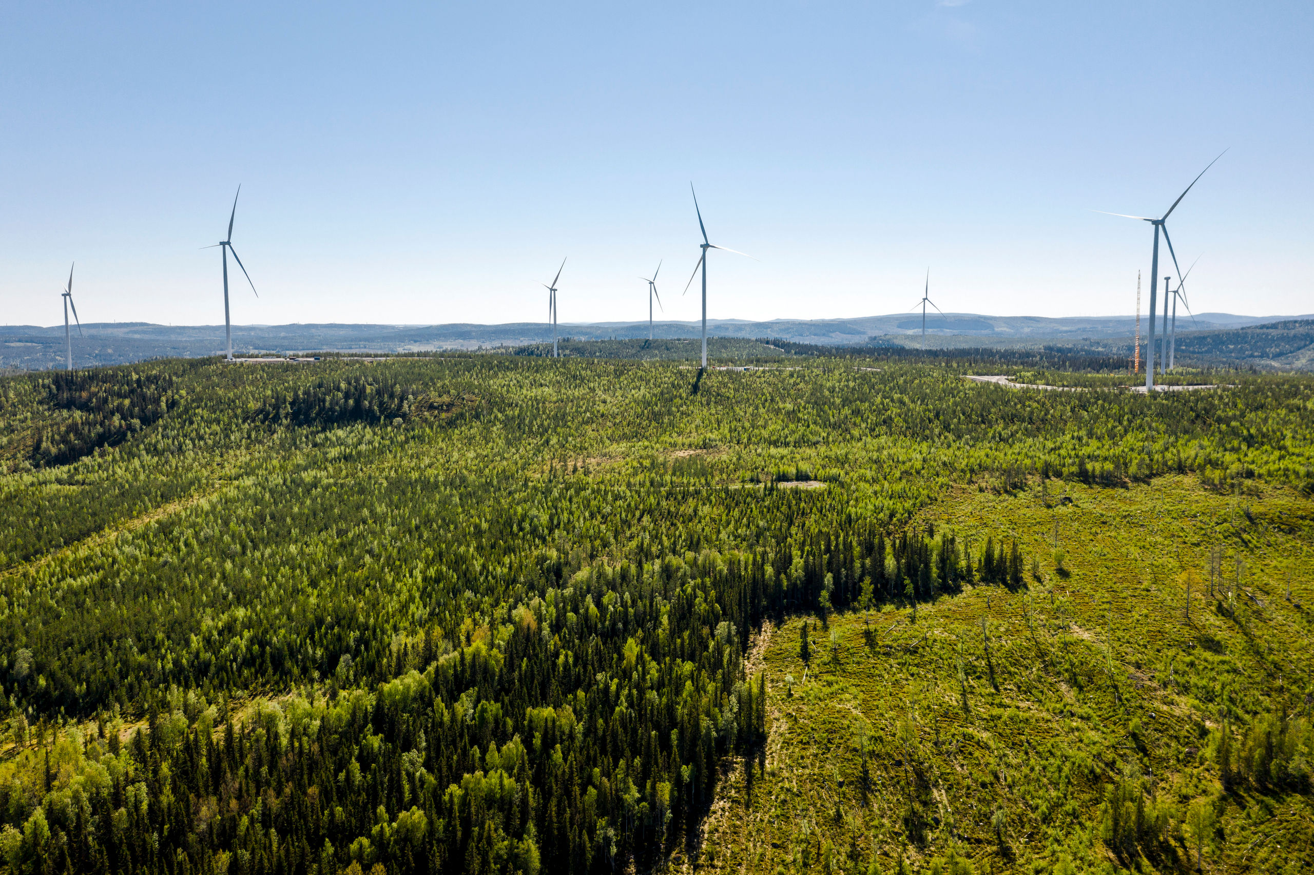 Гармоничное развитие