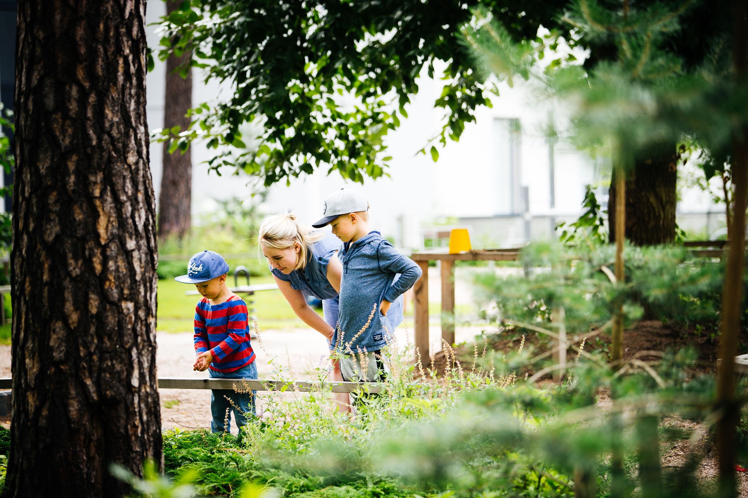 Ūdens spices un to izmantošana  jauno projektu teritorijas uzturēšanā