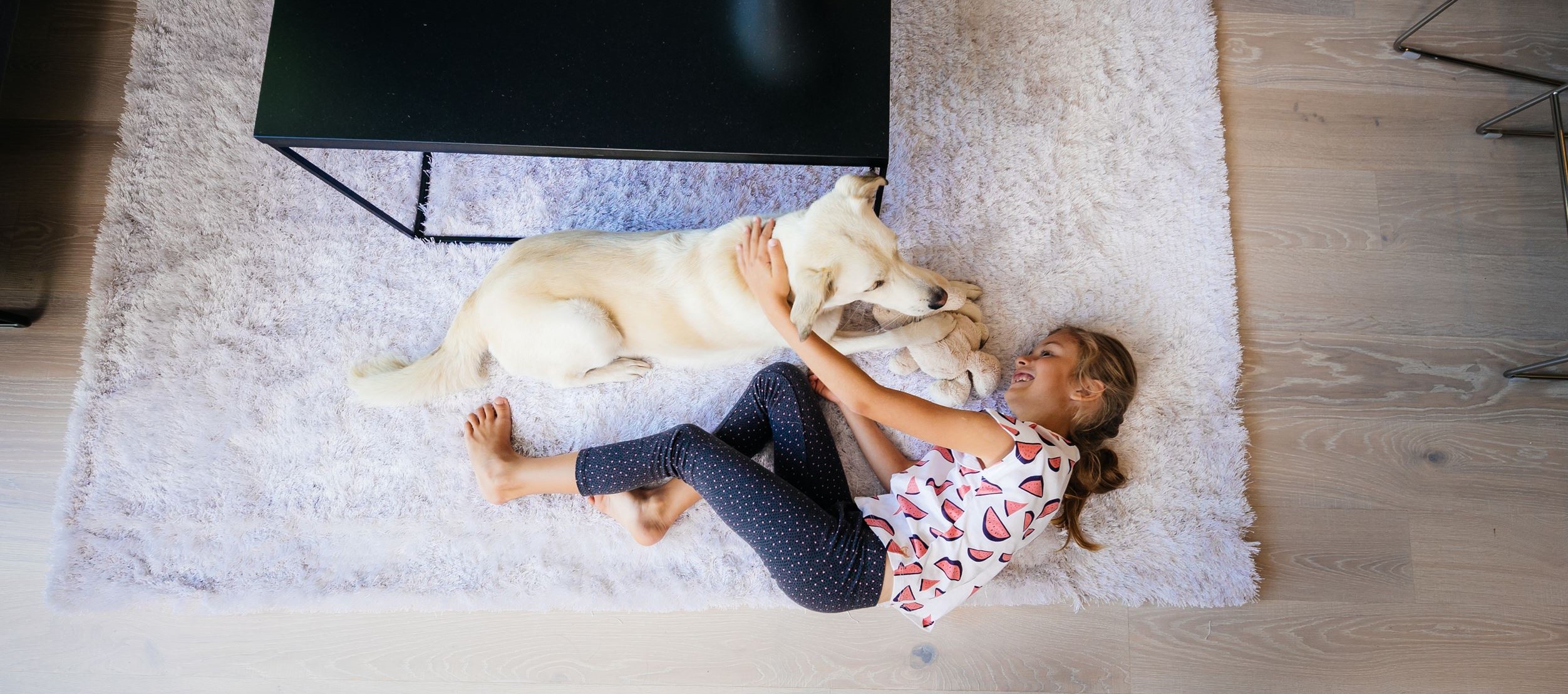 Ērta dzīve mājas mīluļiem YIT mājās